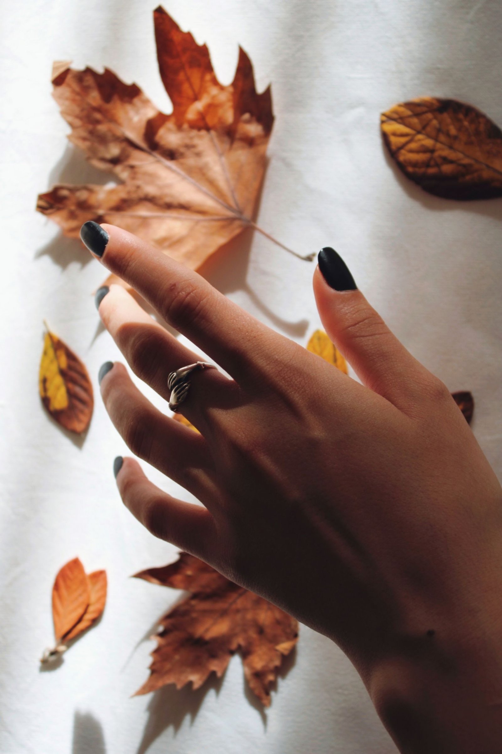 Close-up of a woman's hand with black nails touching autumn leaves, symbolizing fall elegance.